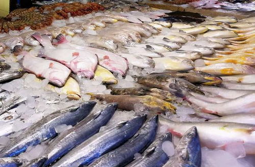鲤鱼价格翻倍，鲫鱼上涨50%，草鱼涨破10元 水产品市场咋回事？