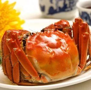 探秘水产业新星 青虾、甲鱼、小龙虾、黑鱼、河蟹与跑道鱼的现状与未来