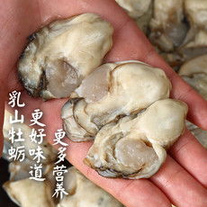 海鲜 水产品 水产制品报价 图片 大全 邮乐网