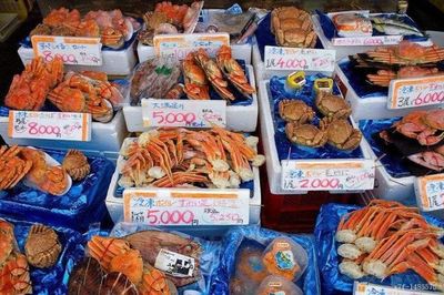 日媒透露:部分日本出口到中国的水产品已经开始被中国海关拦截!
