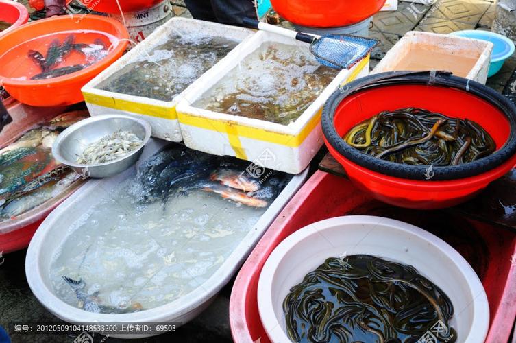 水产品市场